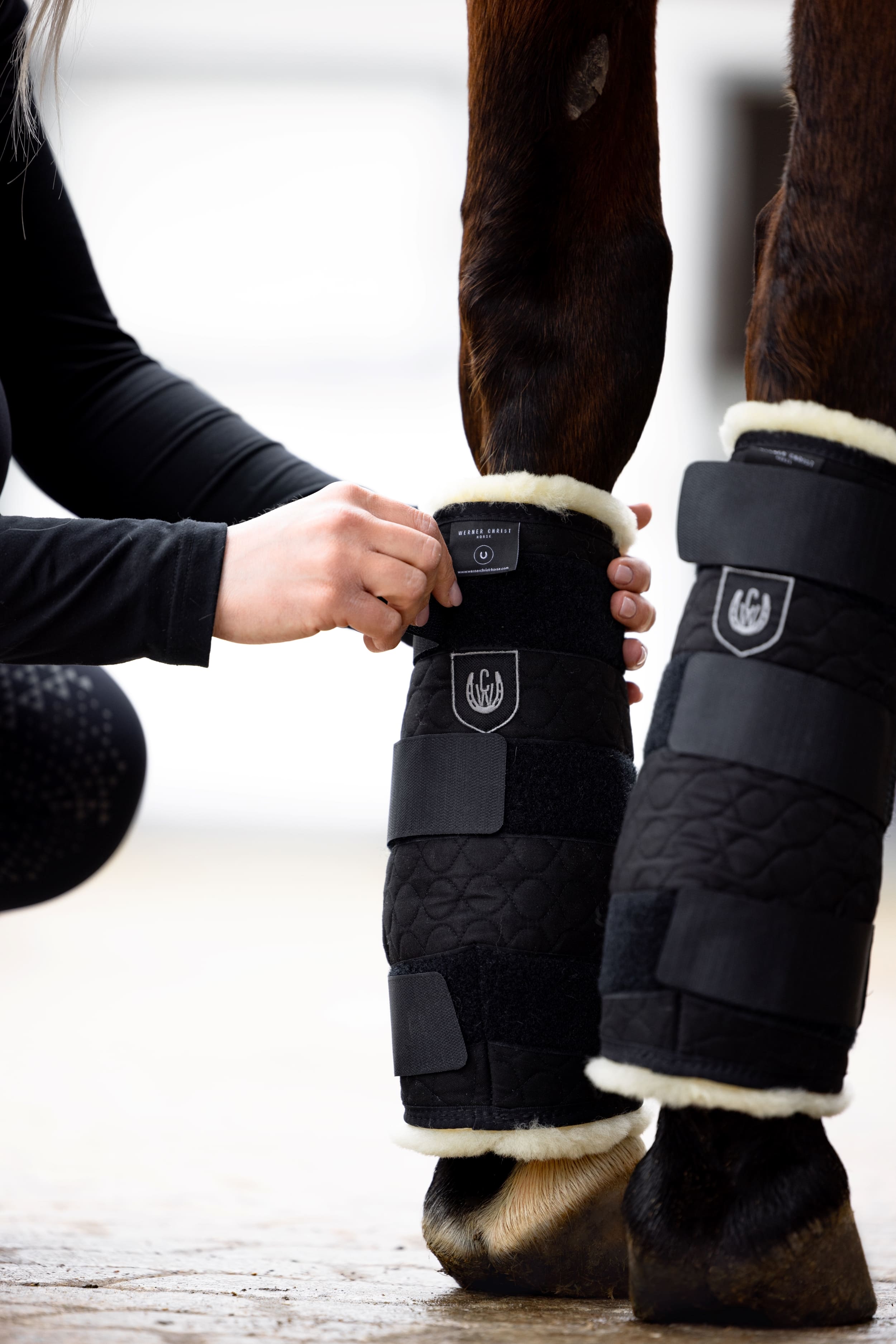 Accessoires für Pferde, um unsere Lieblinge im Alltag und beim Transport zu schützen. 