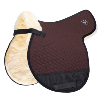 SPEZIAL S Warmblut