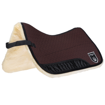 SCHABRACKE QUANTUM Warmblut 60x32cm
